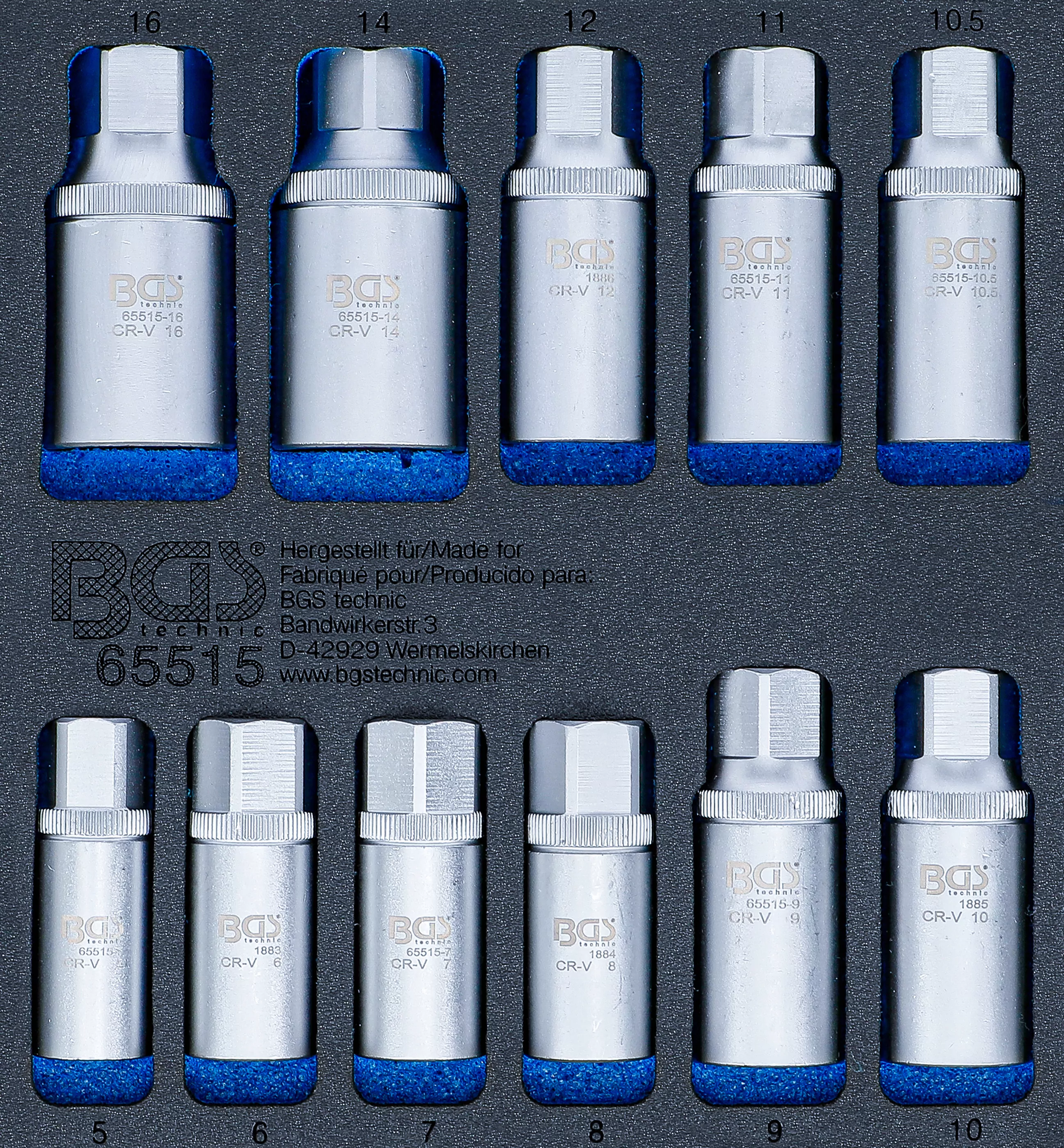 Werkstattwageneinlage 1/6: Stehbolzen-Ausdreher-Satz | 5 - 16 mm | 11-tlg.