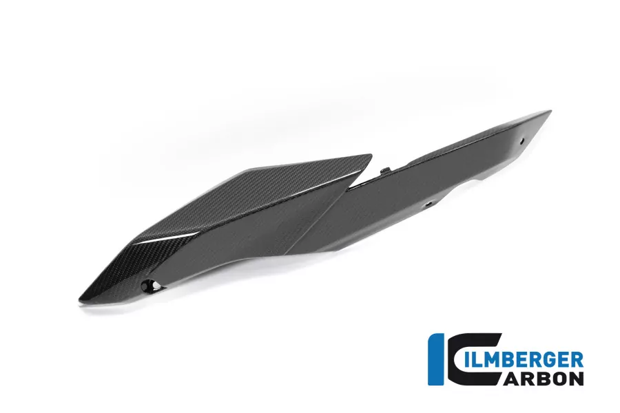 Ilmberger Carbon Seitendeckel am Sitz links Carbon für BMW R1250R R1250RS 2019-