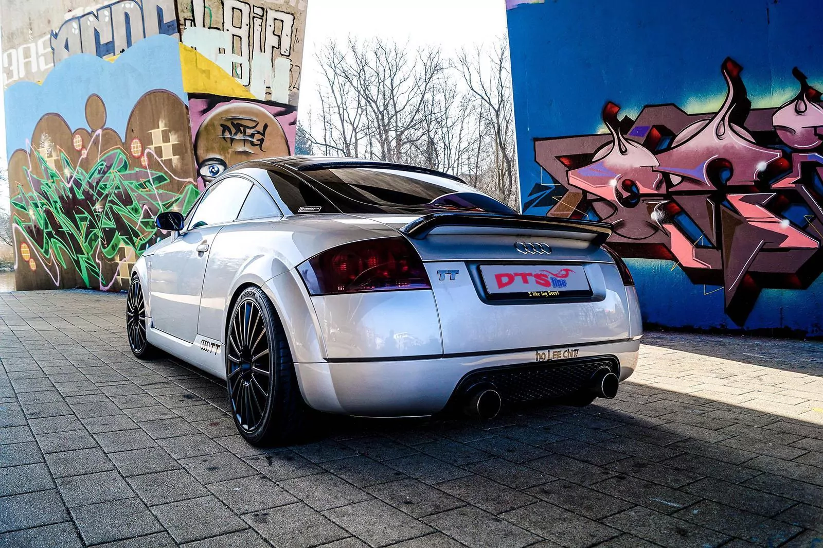 DTSLine Gewindefahrwerk SX  AUDI TT (8N) 8N3 Allrad 10/1998-06/2006