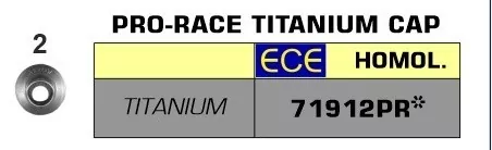 Arrow Pro-Race Titan Kawasaki Z 900 20