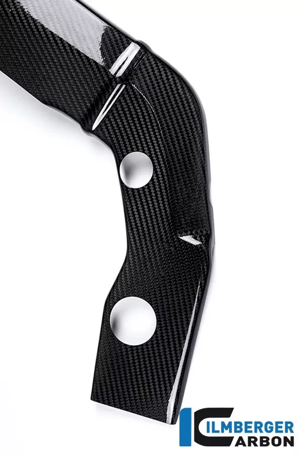 Ilmberger Carbon Rahmenabdeckung links Carbon