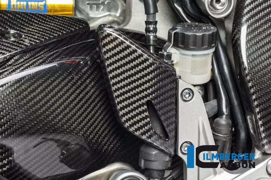 Ilmberger Carbon Fersenschutz rechts Carbon