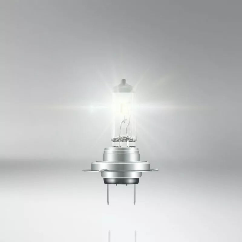 LAMPE 12V 55W PX26D T10X58 C-8 H7 UV-STOPP - LF