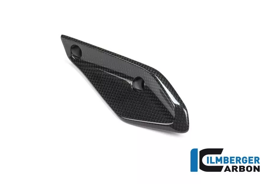 Ilmberger Carbon Verkleidungswinglet links