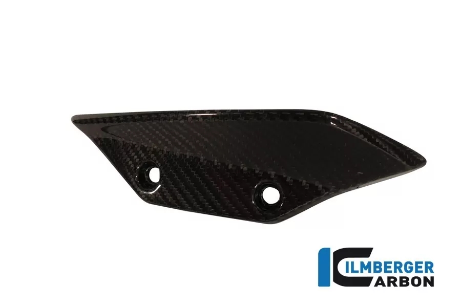 Ilmberger Carbon Verkleidungswinglet links Carbon