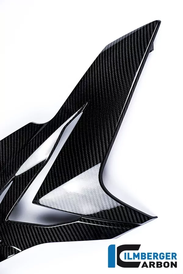 Ilmberger Carbon Verkleidungsseitenteil rechts Carbon
