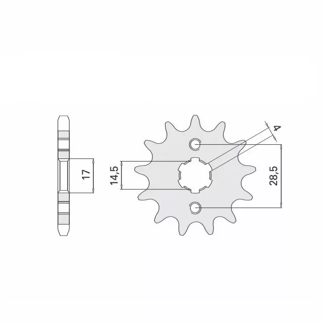 Ritzel 12 Zähne Teilung 420