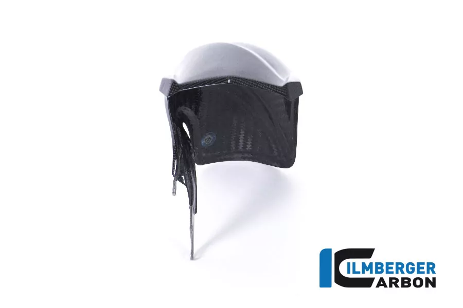 Ilmberger Carbon Kotflügel hinten Carbon