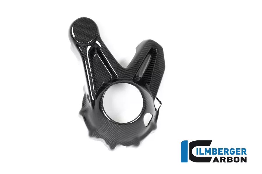 Kardangehäuseabdeckung Carbon für BMW R1250GS (Adventure) ab 2019