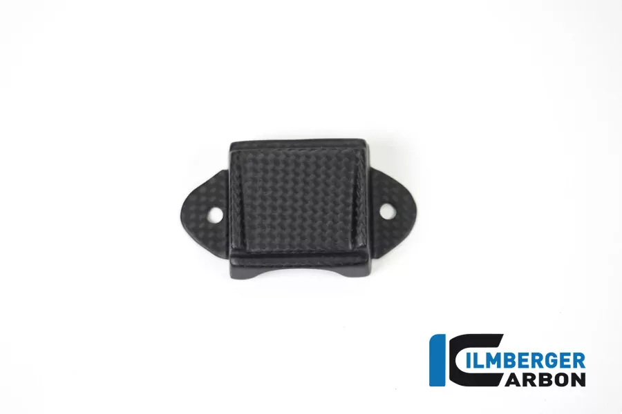 Ilmberger Carbon Instrumenteabdeckung matt für Ducati Panigale V4 / V4S ab 2018