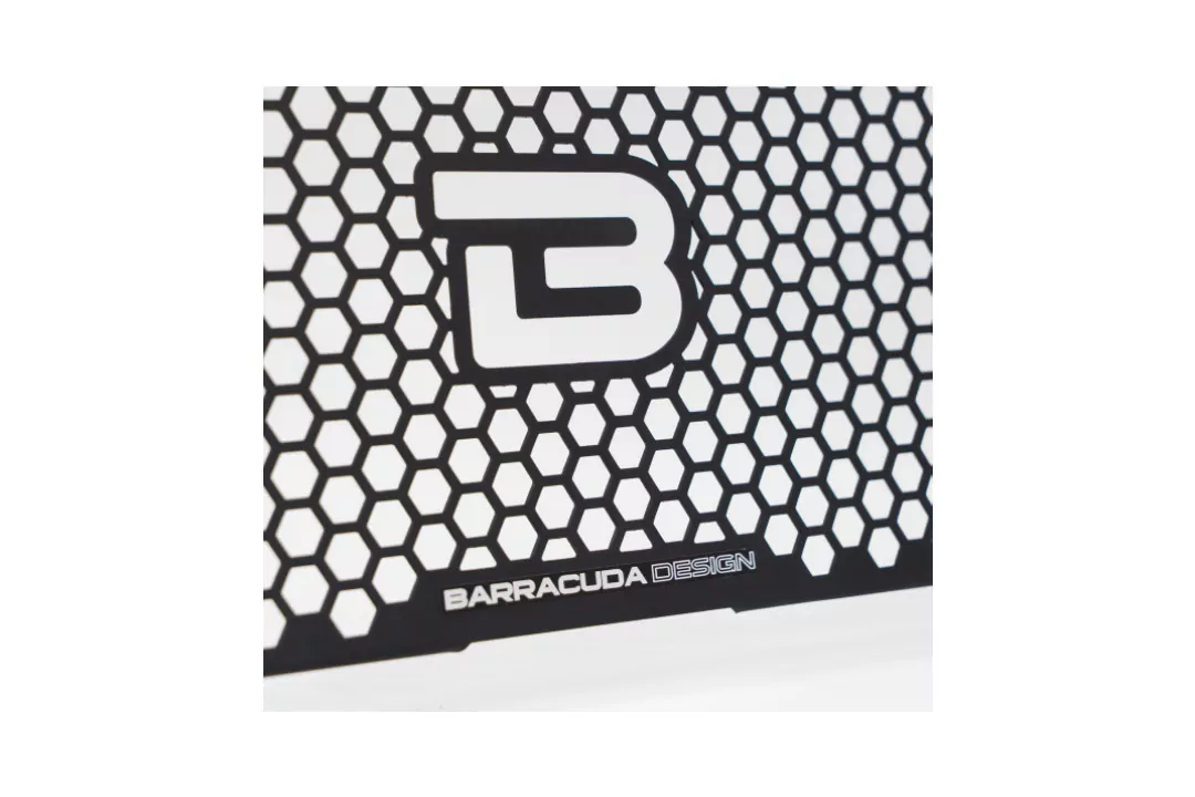 Barracuda Kühlerschutz Aluminium schwarz für Kawasaki Z650 ab Modelljahr 2017-