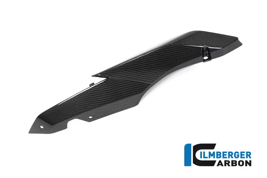 Ilmberger Carbon Seitendeckel am Sitz rechts Carbon für BMW R1250R R1250RS 2019-