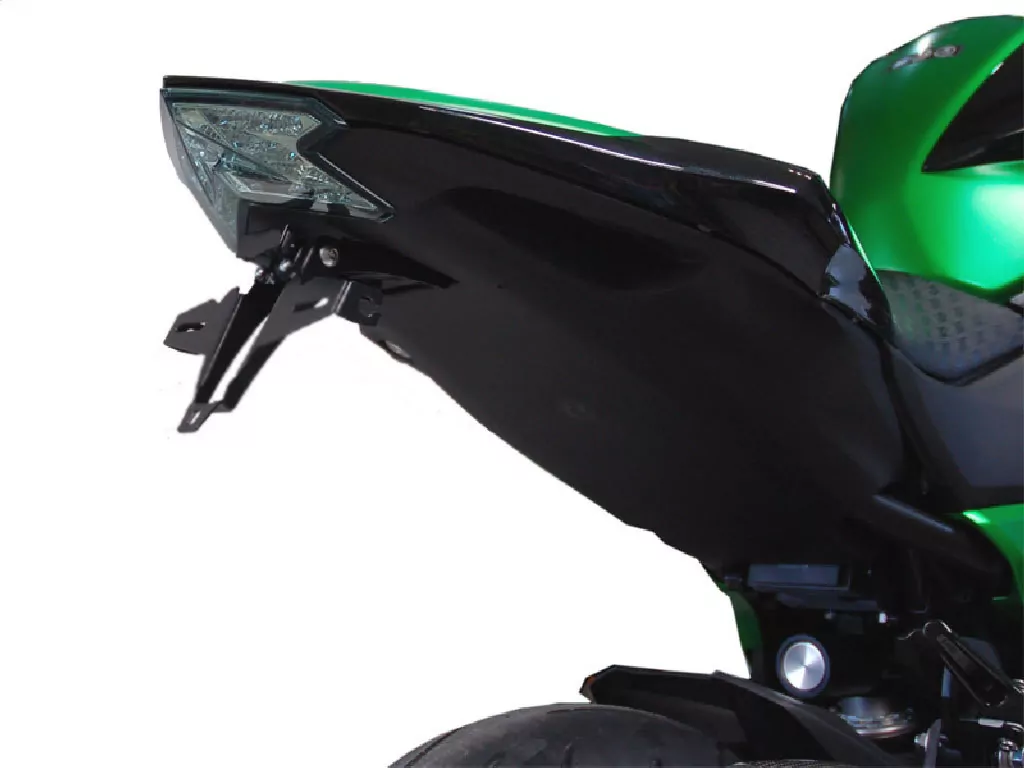 Kennzeichenhalter IQ1 für Kawasaki Z 800 (2013-2016)