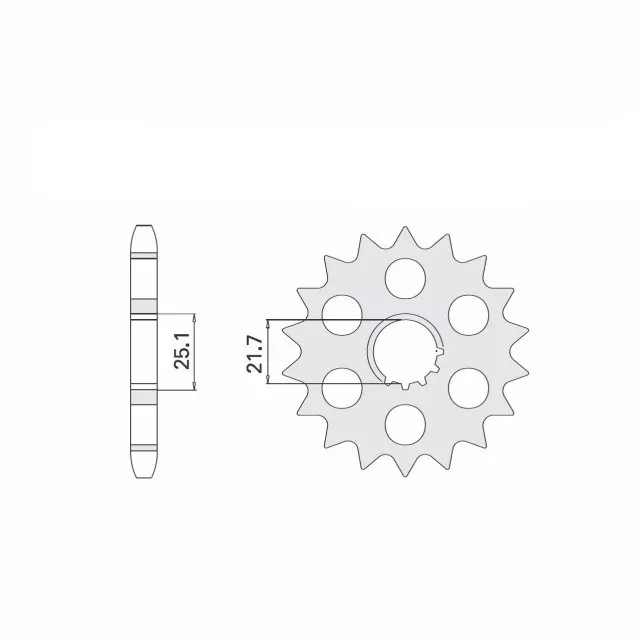 Ritzel 19 Zähne Teilung 530
