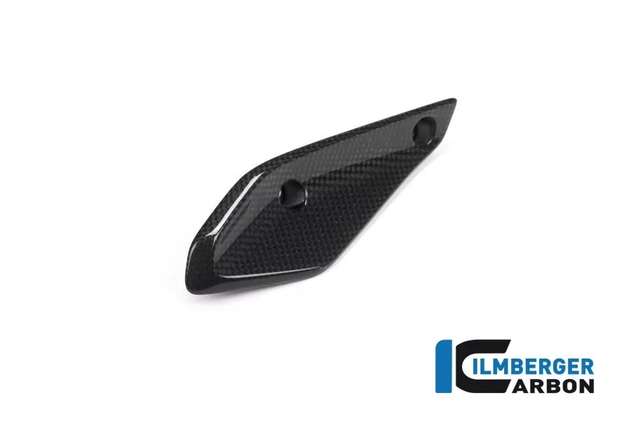 Ilmberger Carbon Verkleidungswinglet rechts