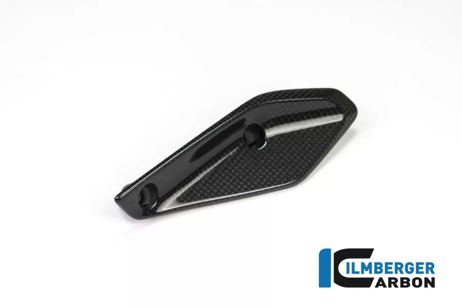 Ilmberger Carbon Verkleidungswinglet links