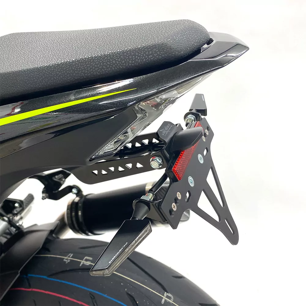 alpha Technik Kennzeichenhalter für Kawasaki Z900 ab Modelljahr 2017-