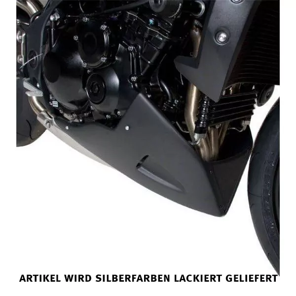 Barracuda Bugspoiler AEROSPORT für Triumph Speed Triple 2011 - 2015 silber lackiert