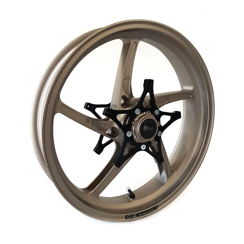 OZ Piega Umbausatz 17" BMW R1200GS Titan inkl. alpha Racing Bremsscheiben