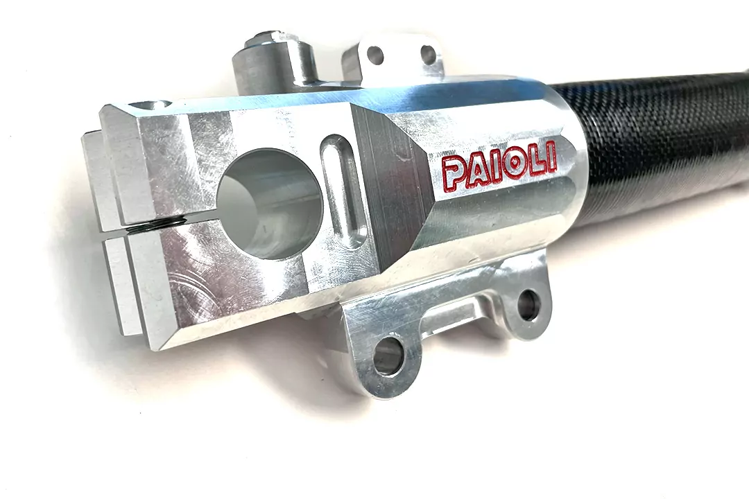 alpha Technik PAIOLI Motorradgabel RSU 46 Ducati Monster Gabel