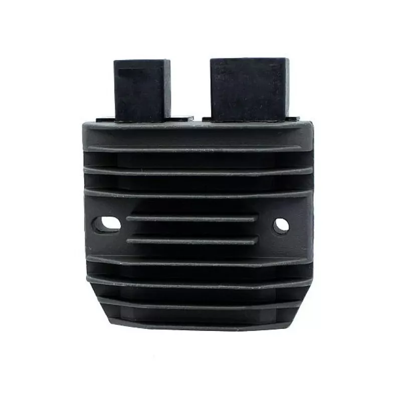 ELECTROSPORT Regler - Honda CBF1000