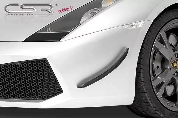 Performance Flaps für Lamborghini Gallardo FP001