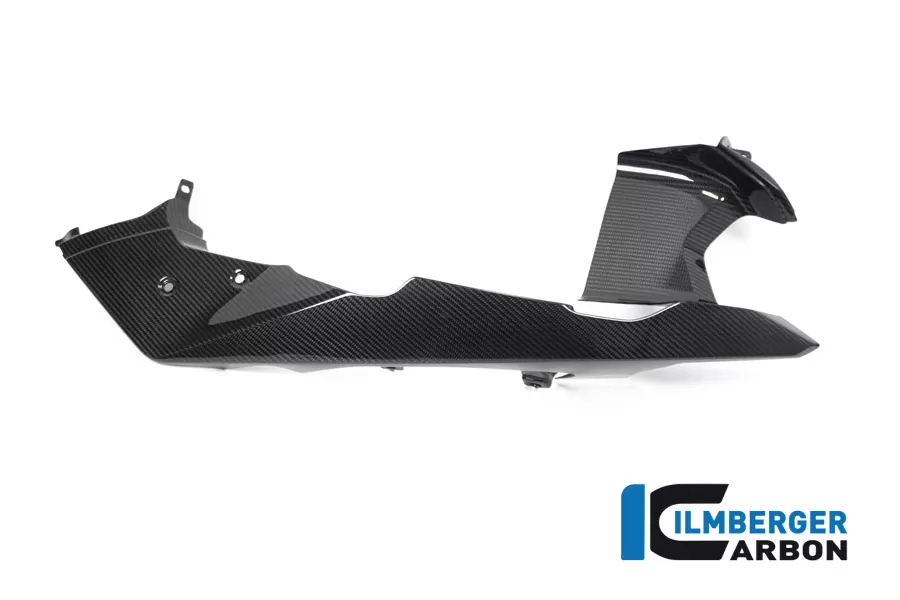 Schnabel vorne / oberer Kotflügel rechts Carbon für BMW R 1250 GS Adventure ab 2019