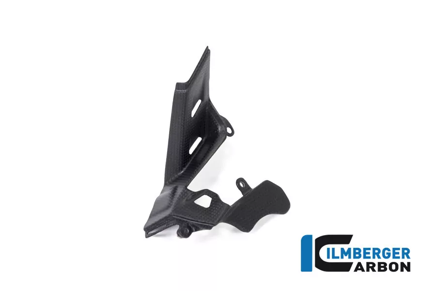 Ilmberger Carbon Instrumenteabdeckung matt für Ducati Panigale V4 / V4S ab 2018