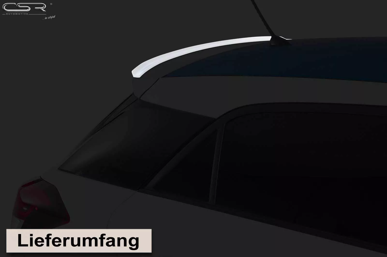 Dachkantenlippe für Opel Corsa D OPC-Line DKL166