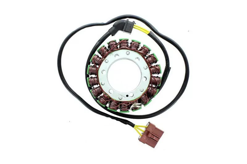 ELECTROSPORT Stator ESG 999 Aprilia RSV R 1000/Factory (04-09)/