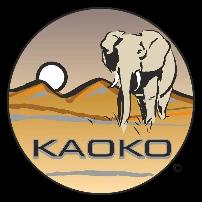 Kaoko Gasgriff-Arretierung "Drive Control" für BMW R1200GS / R1200GS Adventure / R1200ST (80mm Schraube)