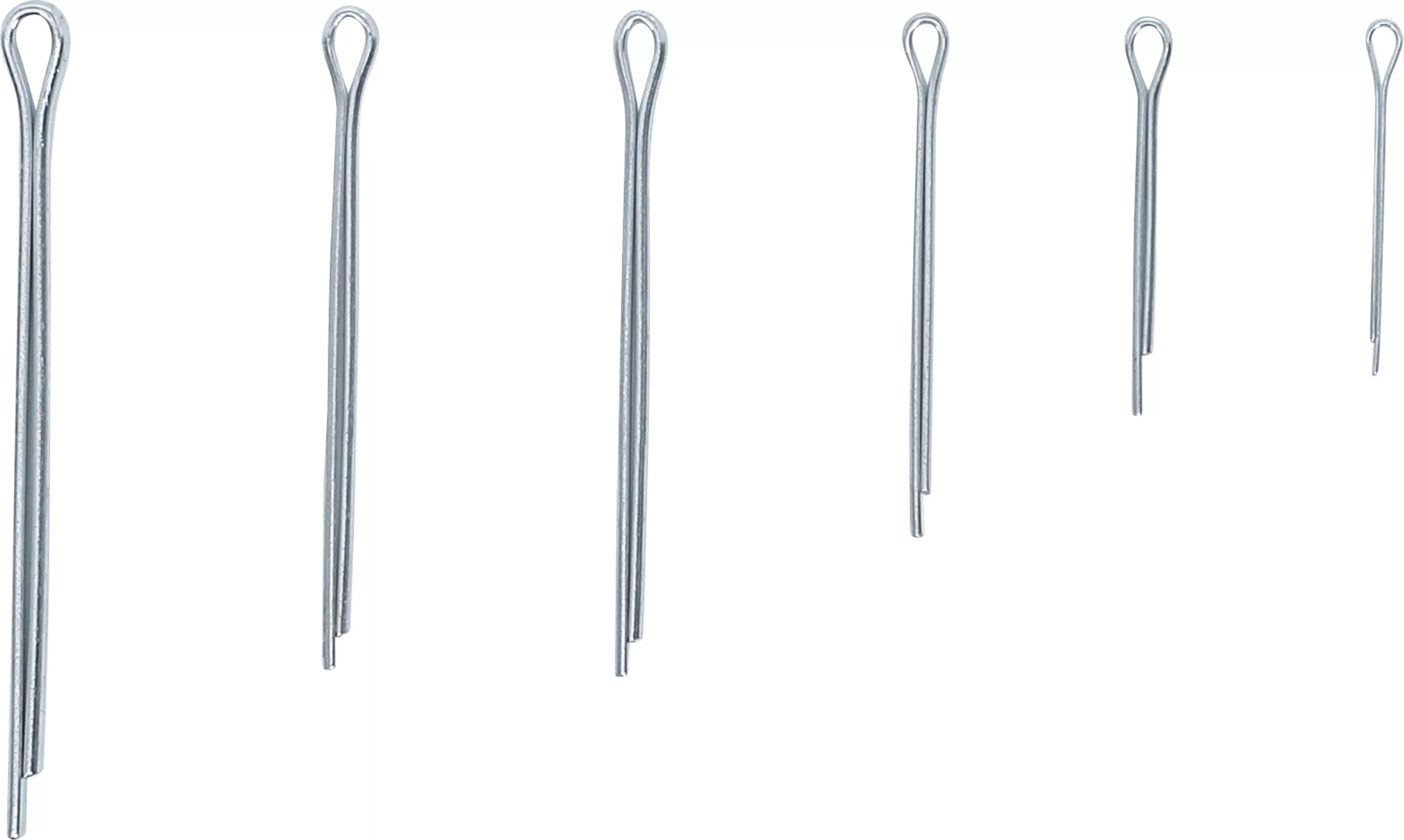 Splinte-Sortiment | Ø 1,6 - 4,0 mm | 555-tlg.