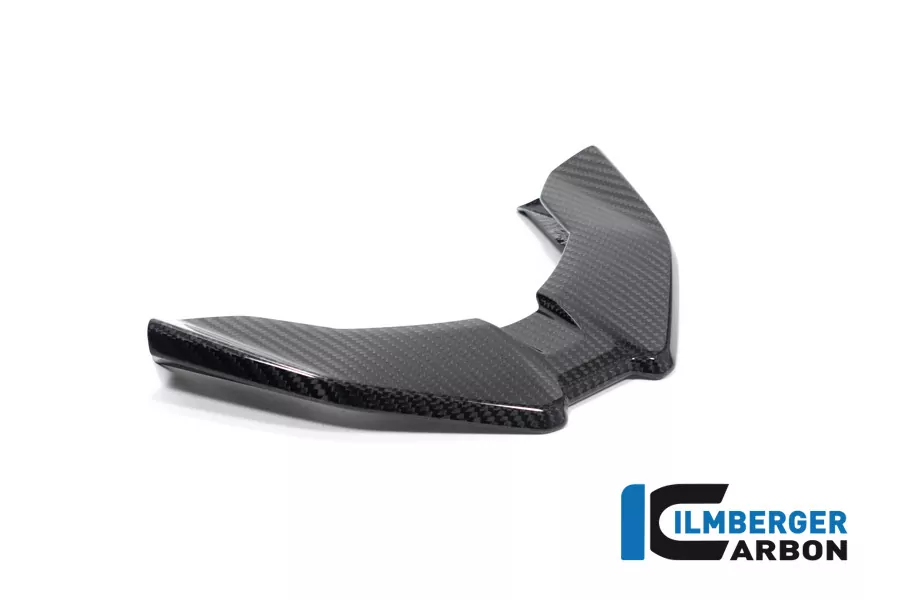 Ilmberger Carbon Schnabel vorne BMW M1000XR S1000XR ab 2024-