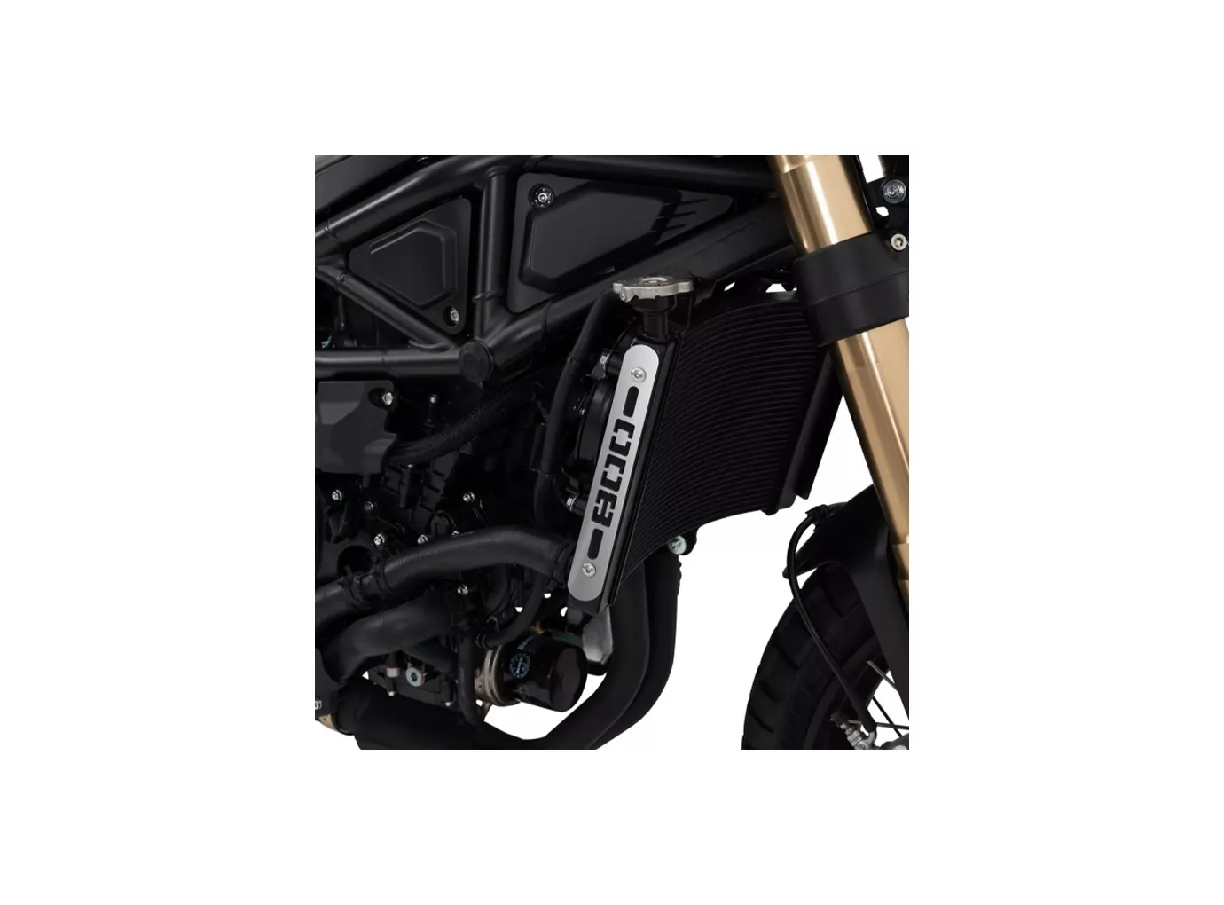 Barracuda Kühlerverkleidung für Benelli Leoncino Modelljahr 2022-