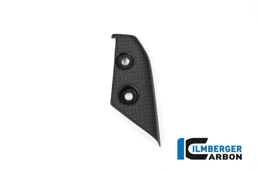 Ilmberger Carbon Instrumenteabdeckung matt für Ducati Panigale V4 / V4S ab 2018