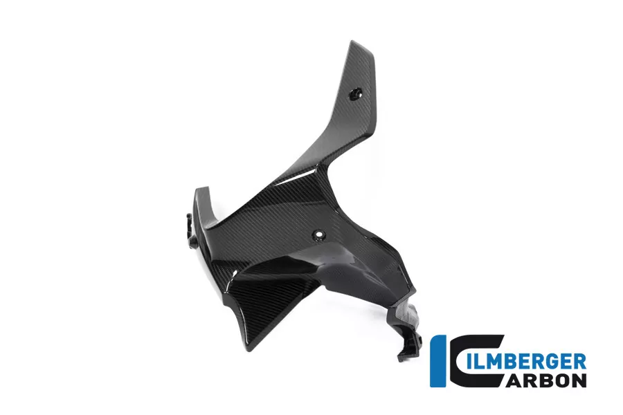 Luftauslassverkleidung links Carbon für BMW R1250GS Adventure ab 2019