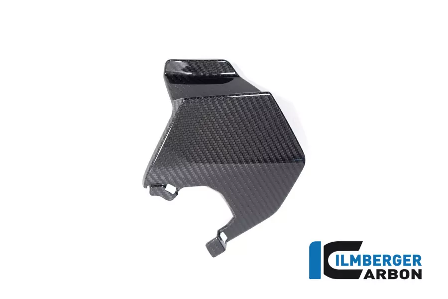 Ilmberger Carbon Oberer Winglet links BMW M1000XR S1000XR ab 2024-