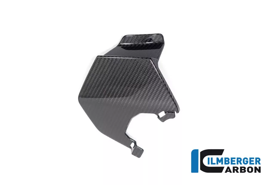 Ilmberger Carbon Oberer Winglet rechts BMW M1000XR S1000XR ab 2024-