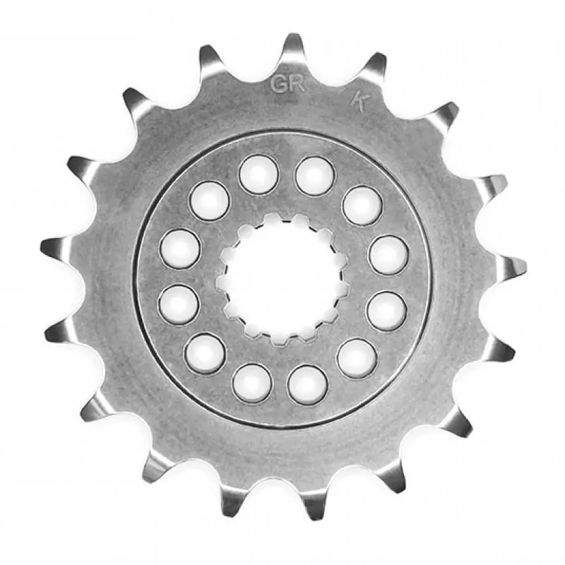 Gandini Racing 520 Ritzel Kawasaki Modelle