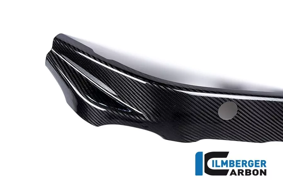 Ilmberger Carbon Rahmenabdeckung links Carbon