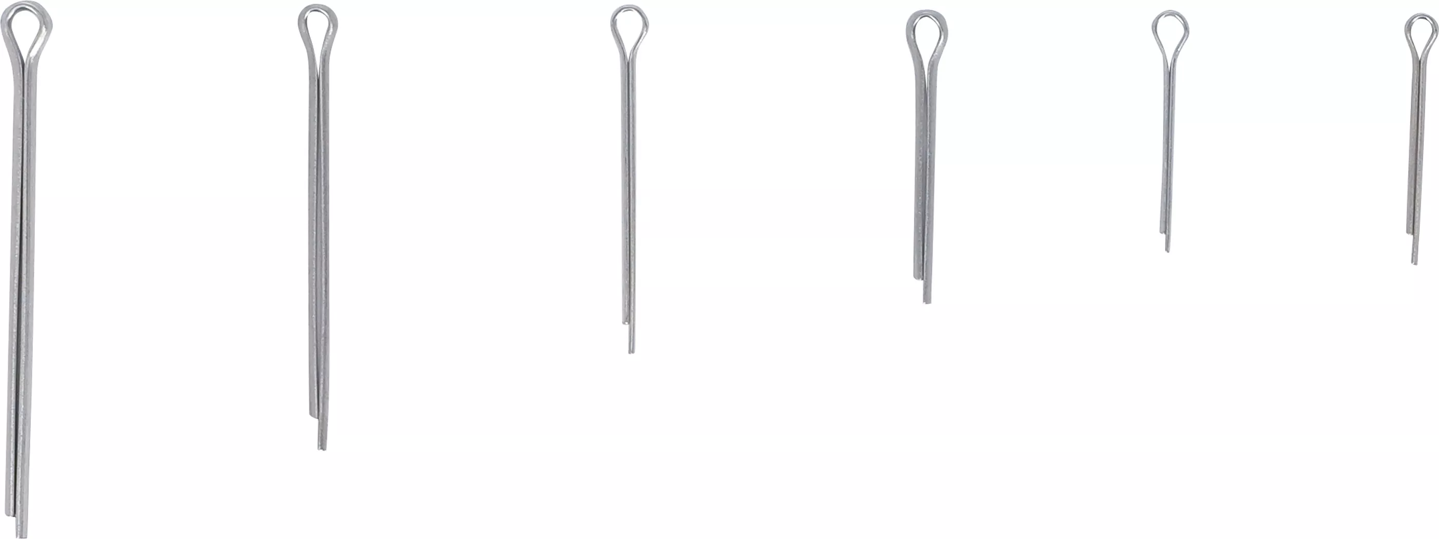 Splinte-Sortiment | Edelstahl | Ø 1,6 - 4,0 mm | 555-tlg.