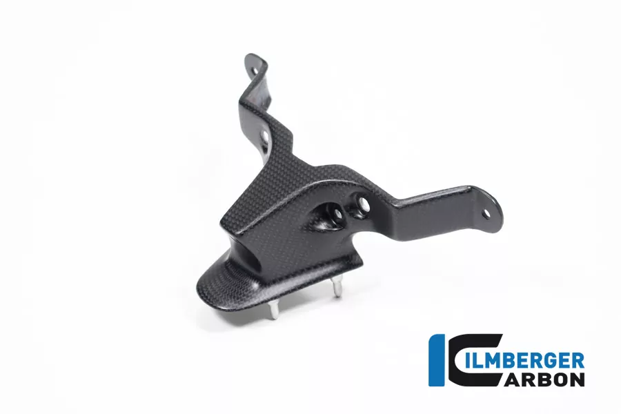 Ilmberger Carbon Windschild mit Halter matt Ducati Streetfighter V2 2022-