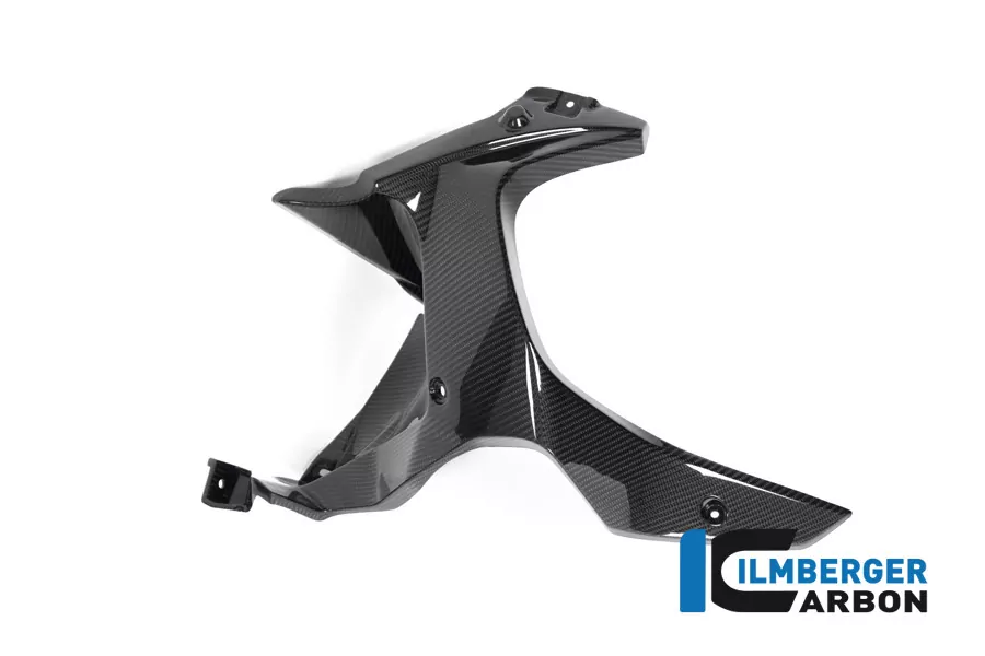 Luftauslassverkleidung links Carbon für BMW R1250GS Adventure ab 2019