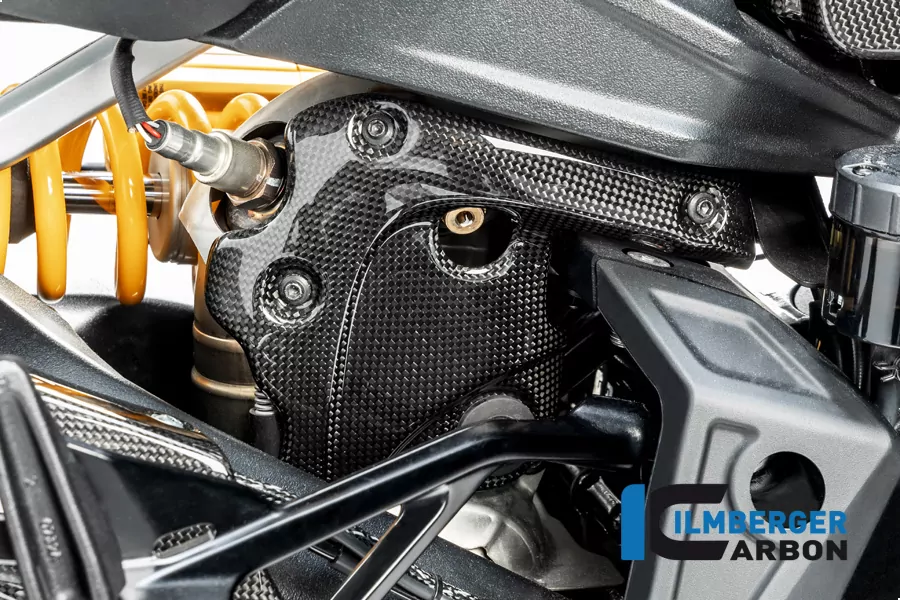 Ilmberger Carbon Auspuffhitzeschutz am Krümmer mit ABE glänzend für Ducati Diavel 1260 ab Modelljahr 2019-