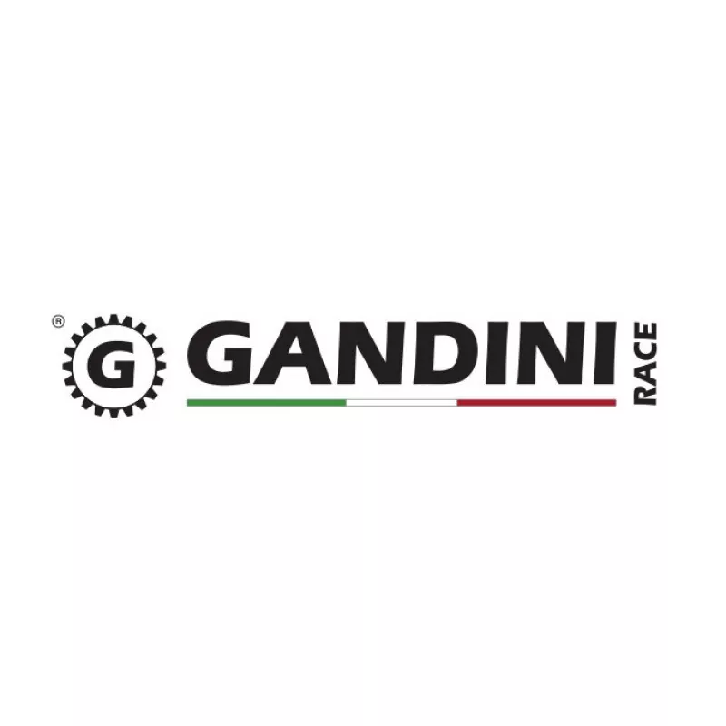 Gandini Racing 520 Ritzel vorn Yamaha YZF R6