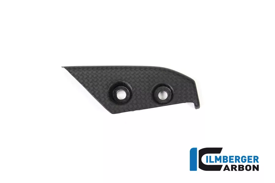 Ilmberger Carbon Instrumenteabdeckung matt für Ducati Panigale V4 / V4S ab 2018