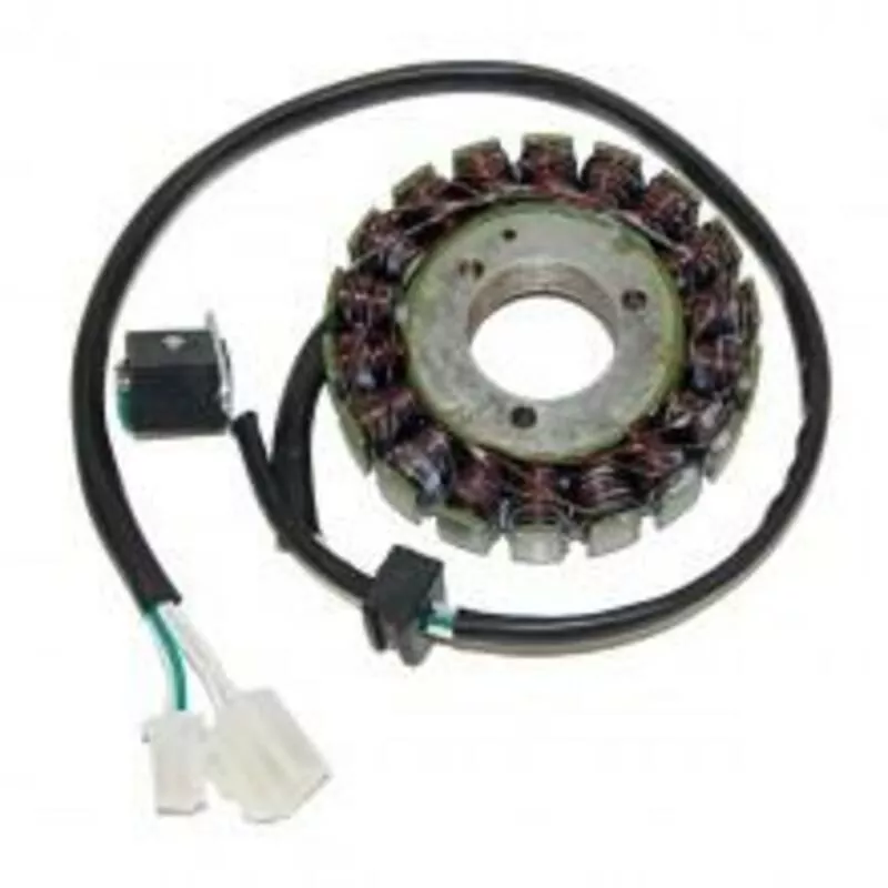 ElectroSport Stator ESG847 für Lichtmaschine