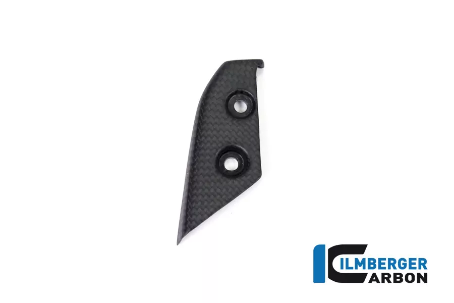 Ilmberger Carbon Instrumenteabdeckung matt für Ducati Panigale V4 / V4S ab 2018