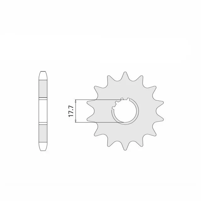 Ritzel 15 Zähne Teilung 428