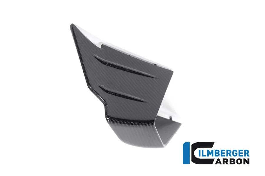 Verkleidungswinglet links aus Carbon für BMW M1000RR ab Modelljahr 2021-